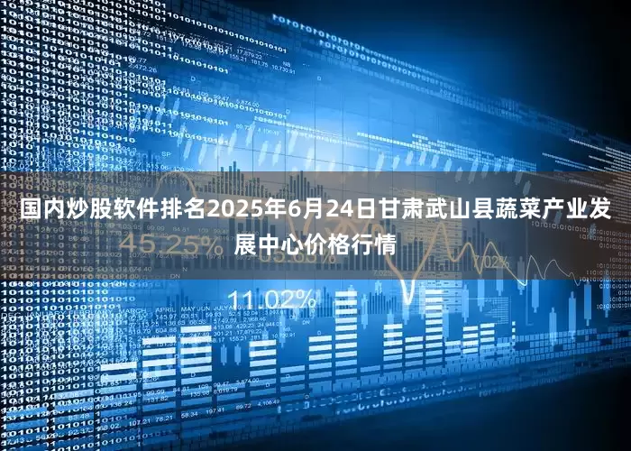 国内炒股软件排名2025年6月24日甘肃武山县蔬菜产业发展中心价格行情