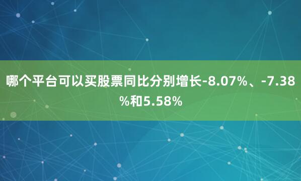 哪个平台可以买股票同比分别增长-8.07%、-7.38%和5.58%