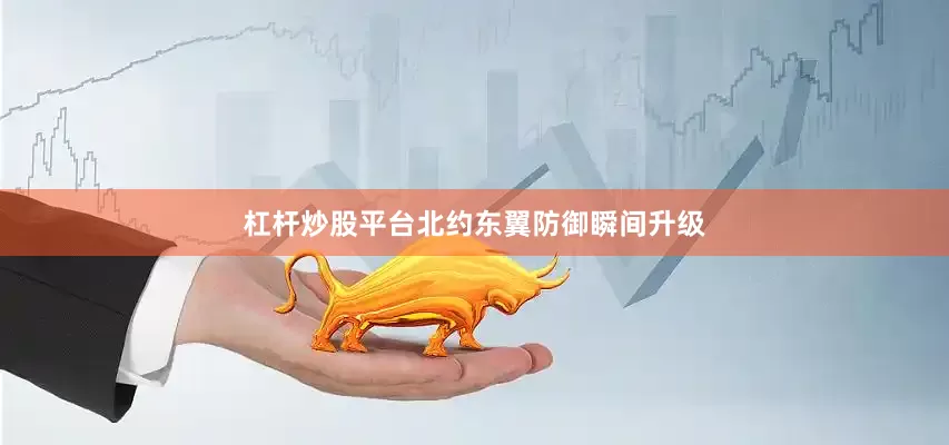 杠杆炒股平台北约东翼防御瞬间升级